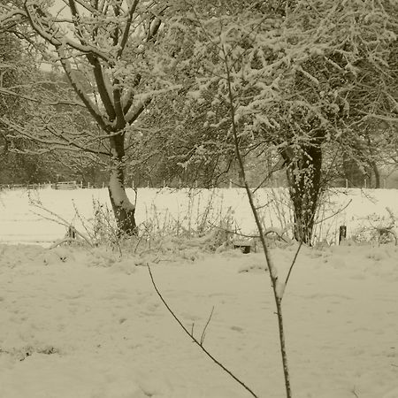 Glanwye Appartement Hay-On-Wye Buitenkant foto