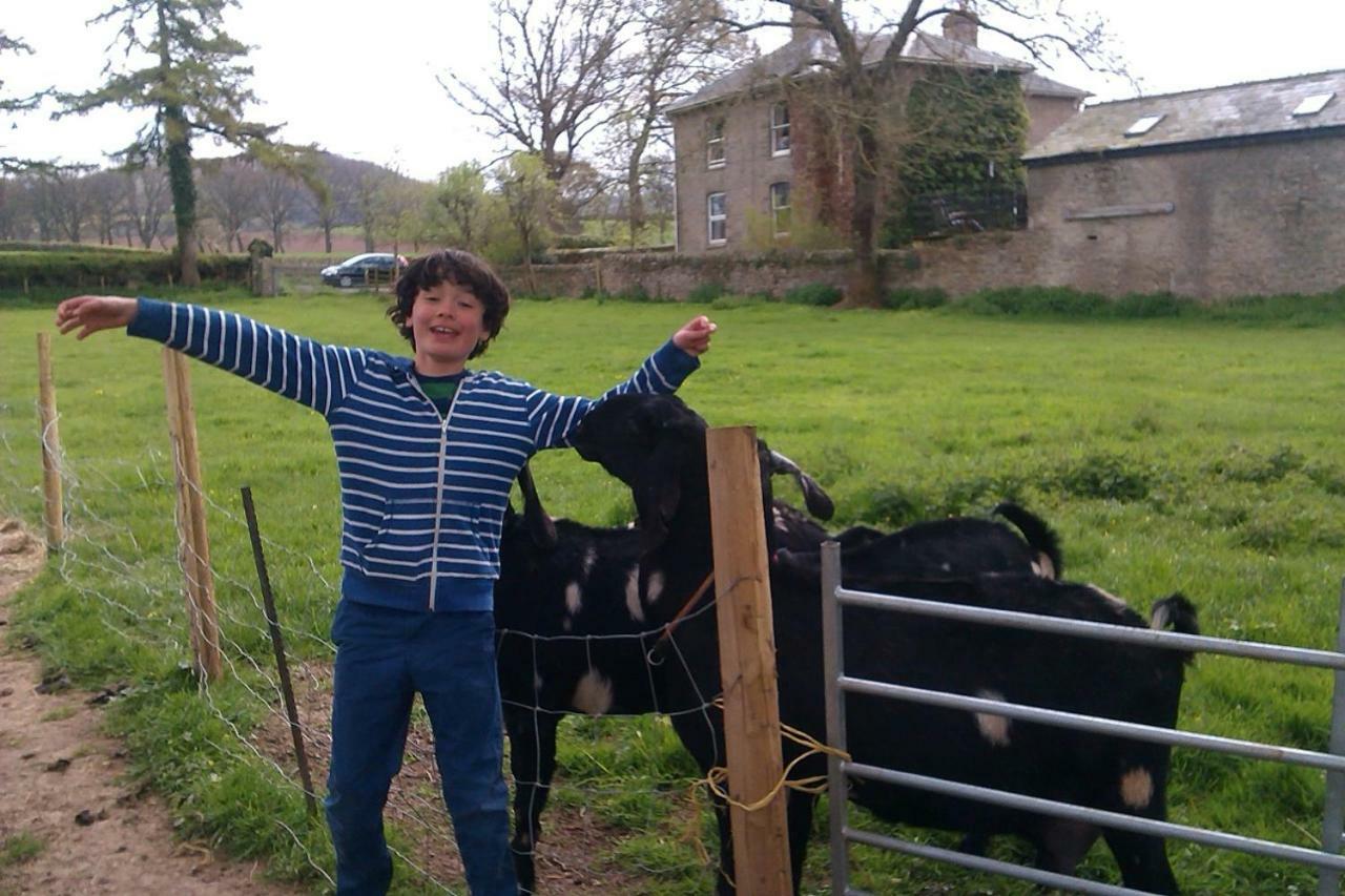 Glanwye Appartement Hay-On-Wye Buitenkant foto