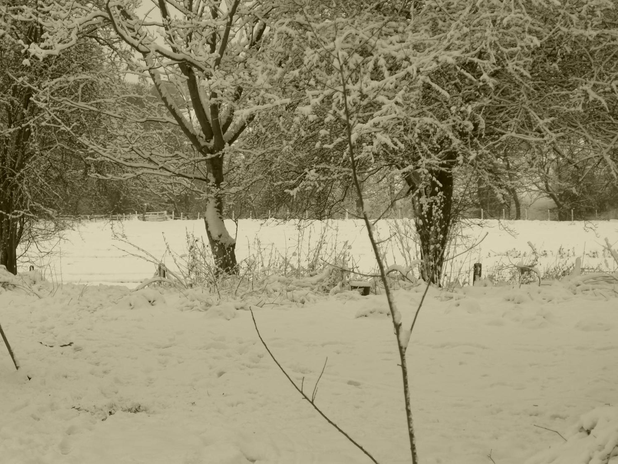 Glanwye Appartement Hay-On-Wye Buitenkant foto